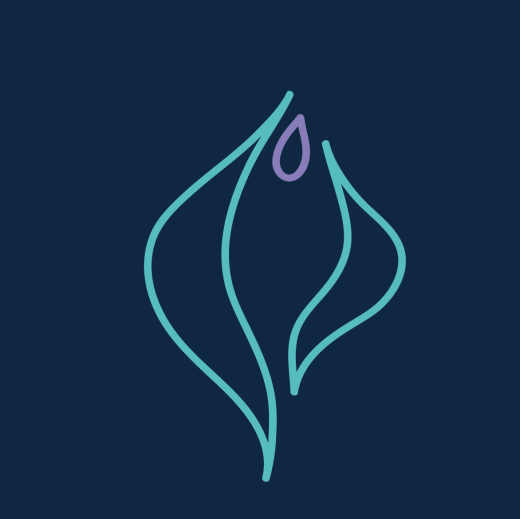 LOGO DR ANTONIO SALINAS