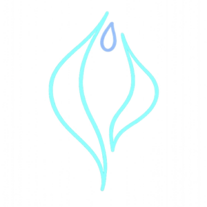 Logo Dr Antonio Salinas Uroginecologo en Monterrey