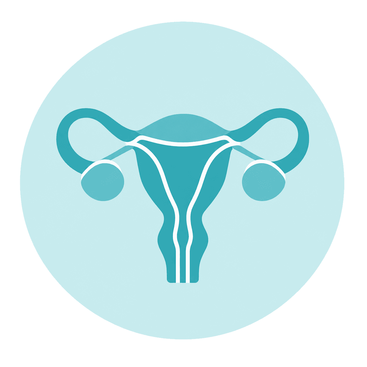 Dibujo sistema reproductor femenino.
