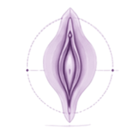 Ilustración de tensado vaginal, tratamiento de ginecología estética.